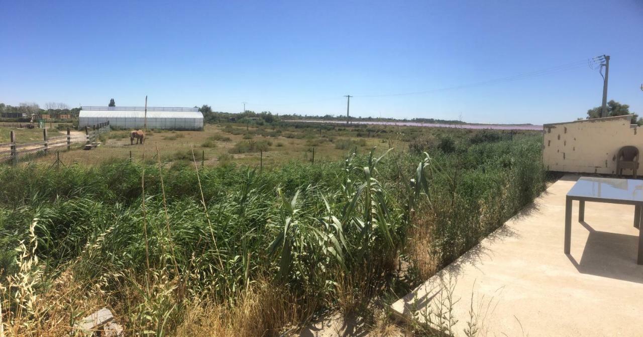 En Camargue Salin-de-Giraud Exterior foto